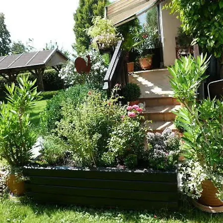 Irmgard Ichenhausen